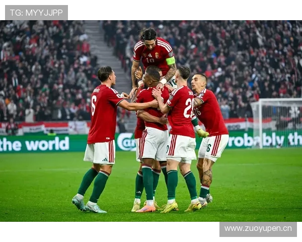 爱尔兰队在世界杯历史上的表现分析与未来展望