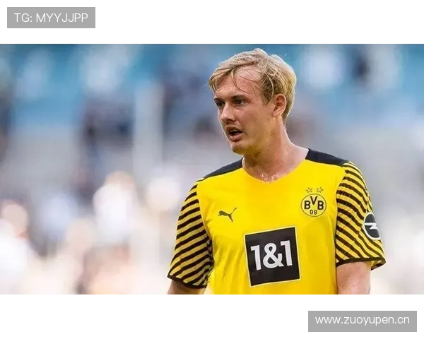 布兰特前场组织力 布兰特前场组织力